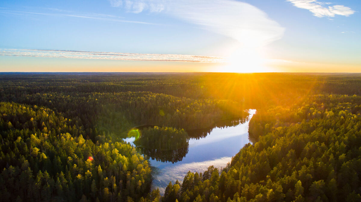 View of Nuuksio, Finland — explore eat, do and happening on what Finland