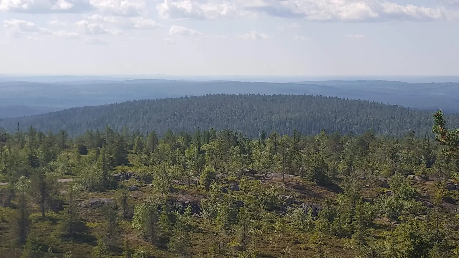 Iso-Syöte