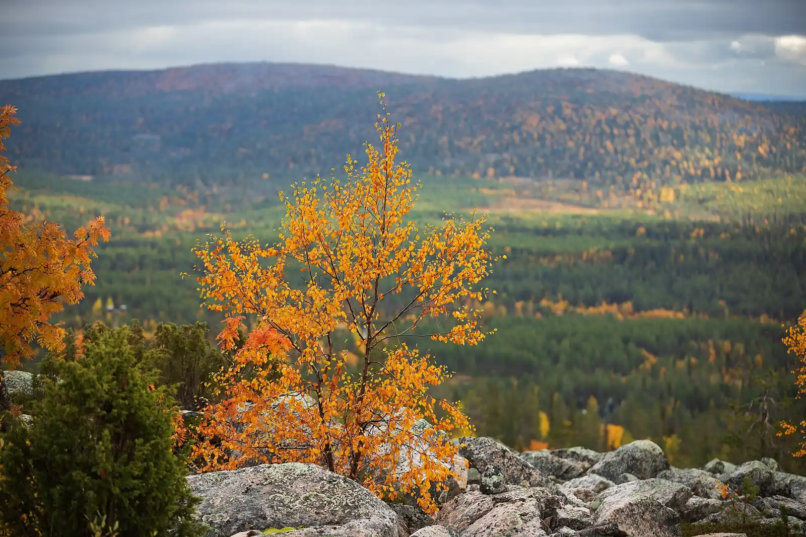 Salla