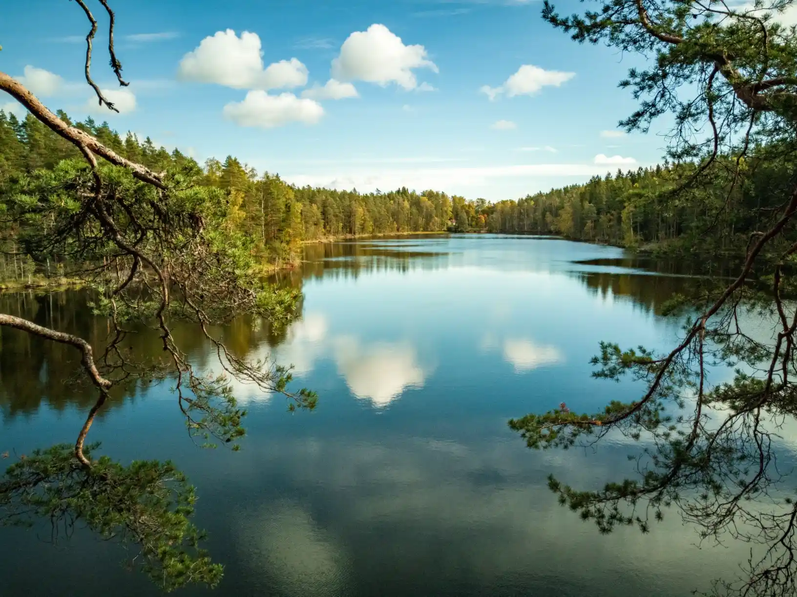 everything — Nuuksio National Park