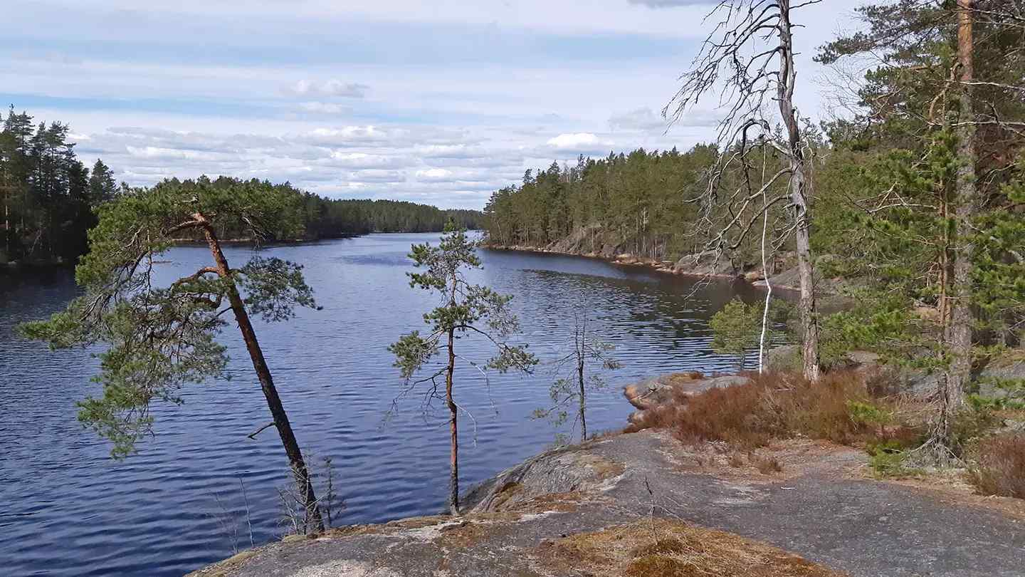 Nuuksio National Park — photo 4