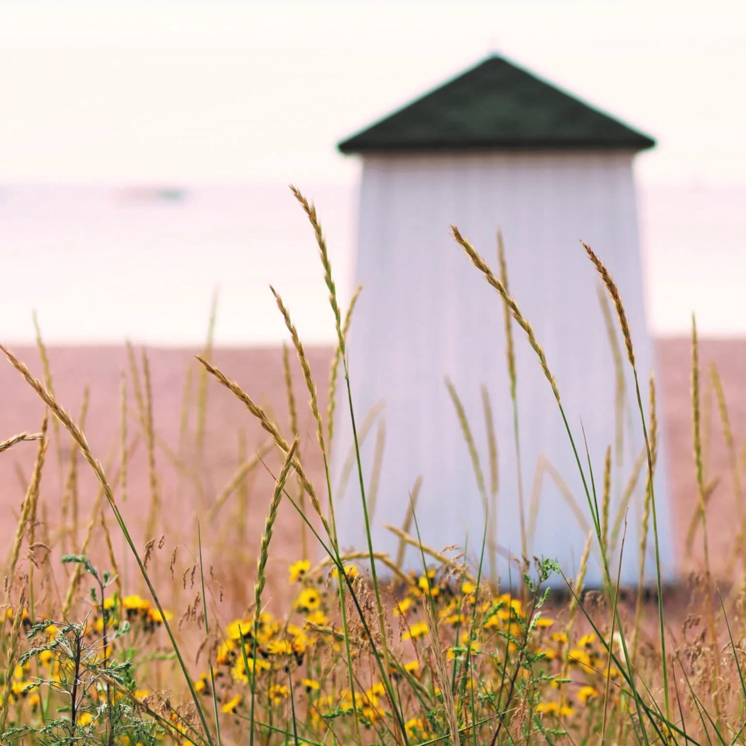 Beaches — Bellevue Beach
