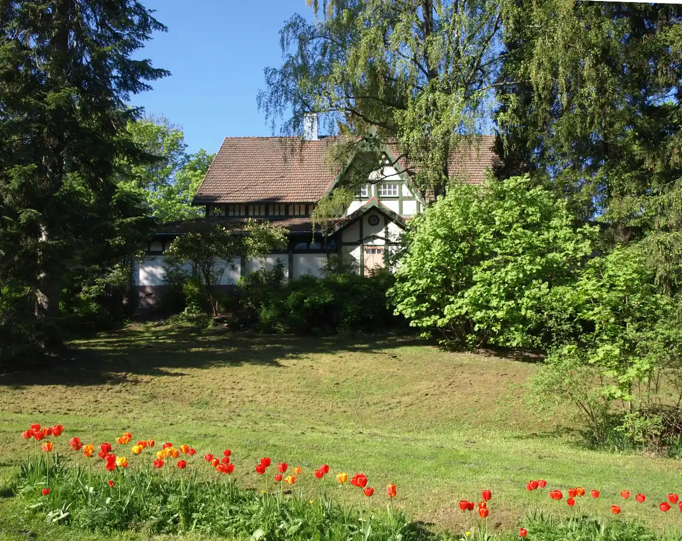 sights & culture — Turku Biological Museum
