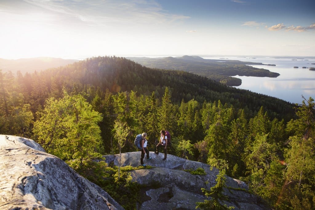 Koli National Park
