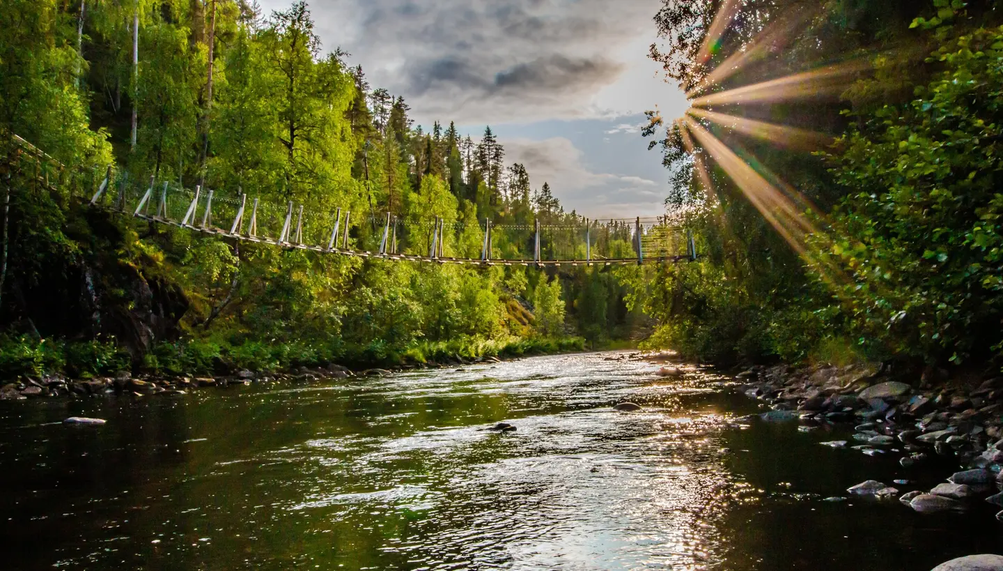 Oulanka National Park