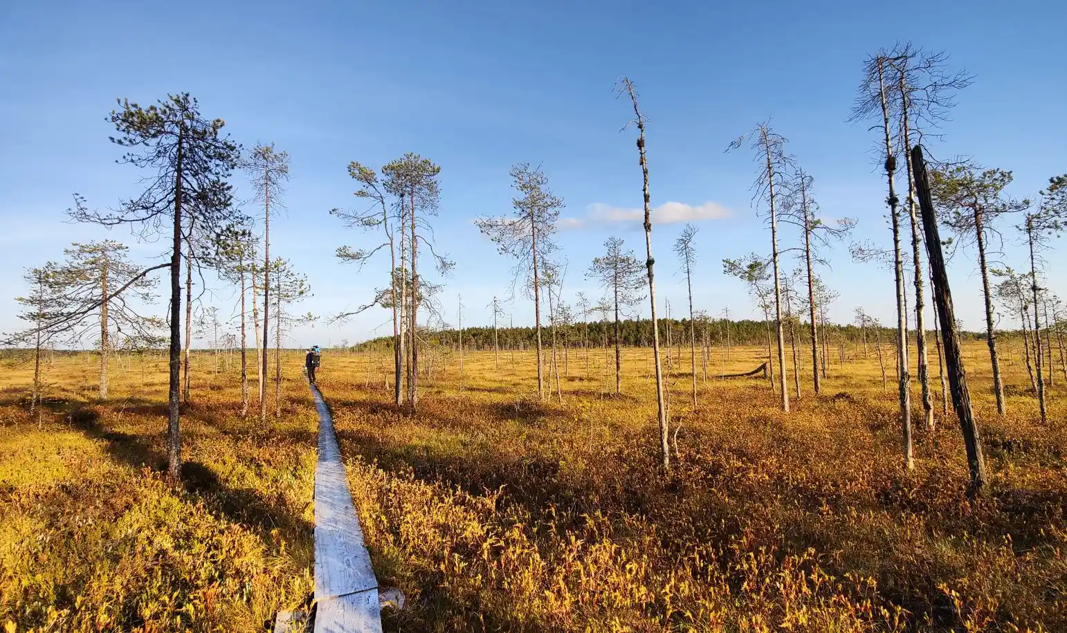 Patvinsuo National Park