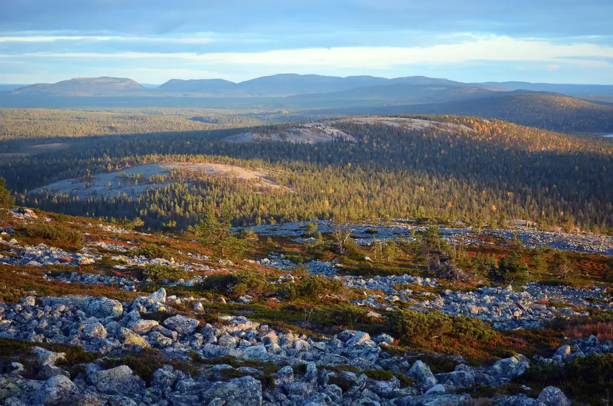 Pyhä-Luosto National Park
