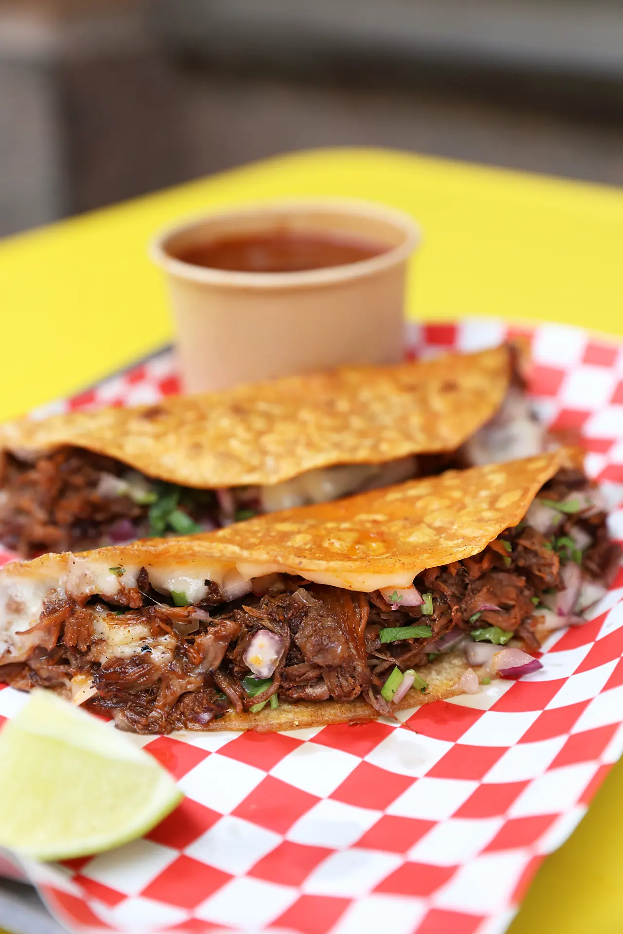 Tacoya Birrieria — photo 2