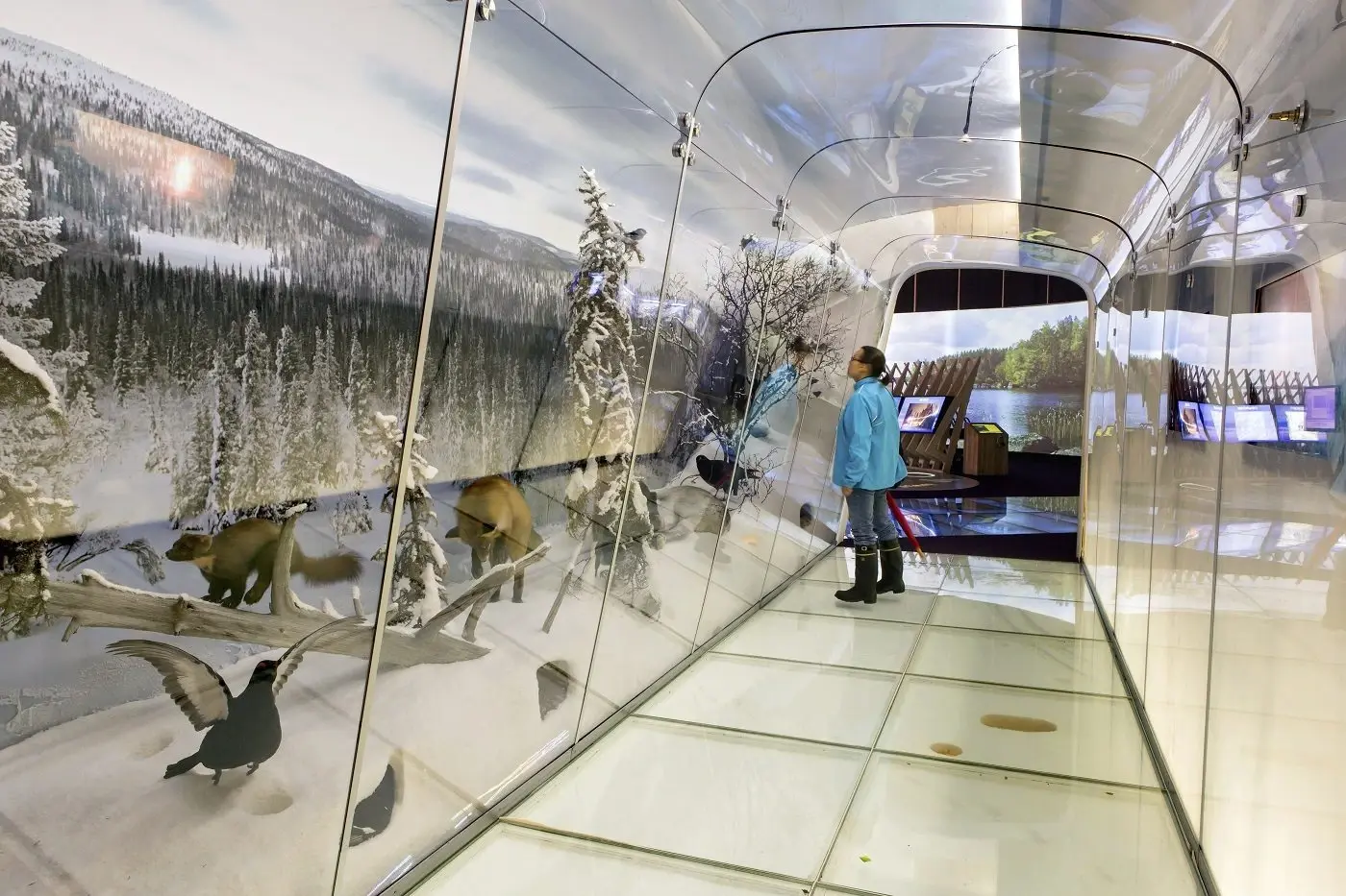 Haltia – Finnish Nature Centre — photo 2